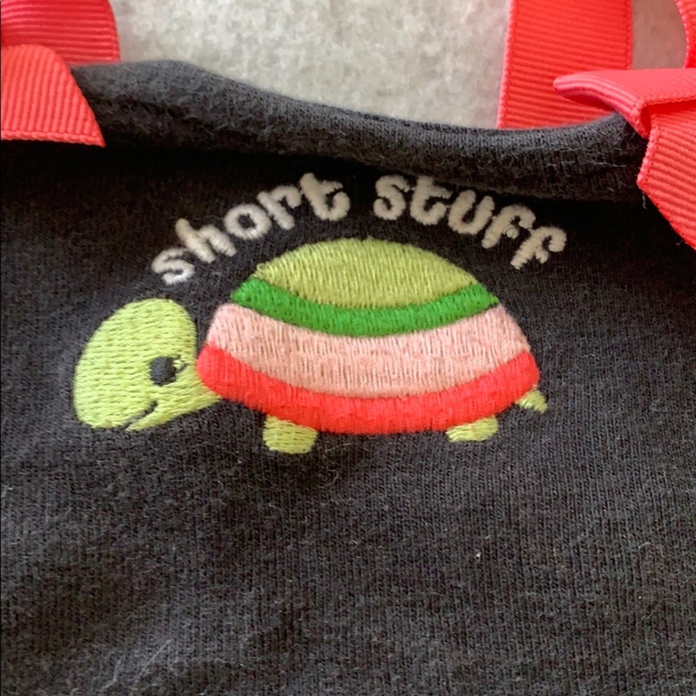 Gymboree Matching Short Set - Picture 2 of 4